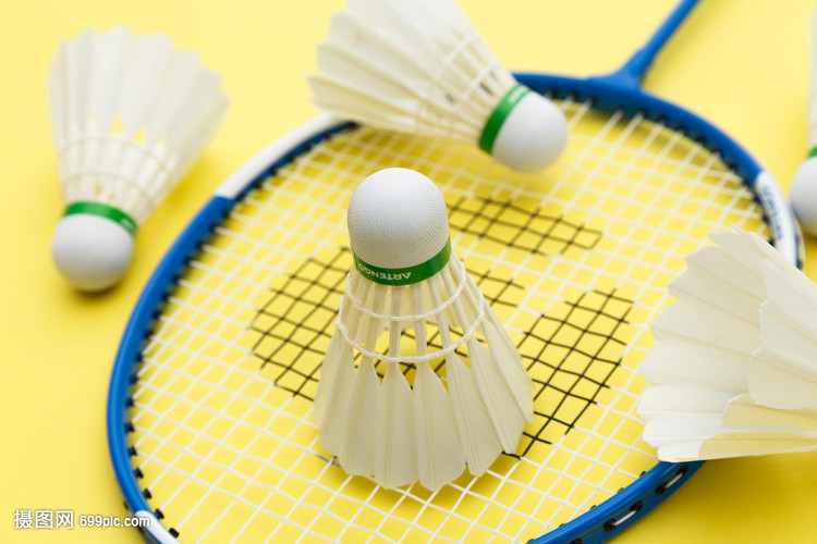 与字母哥的 与字母哥的